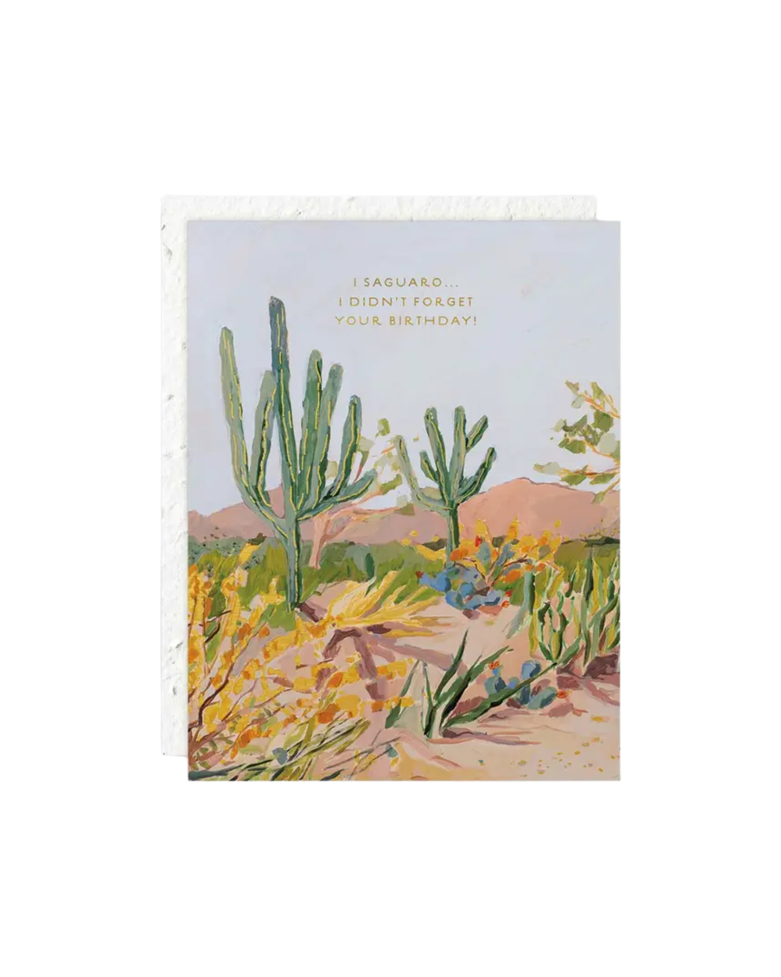 I Saguaro Didn't Forget Your Birthday Greeting Card