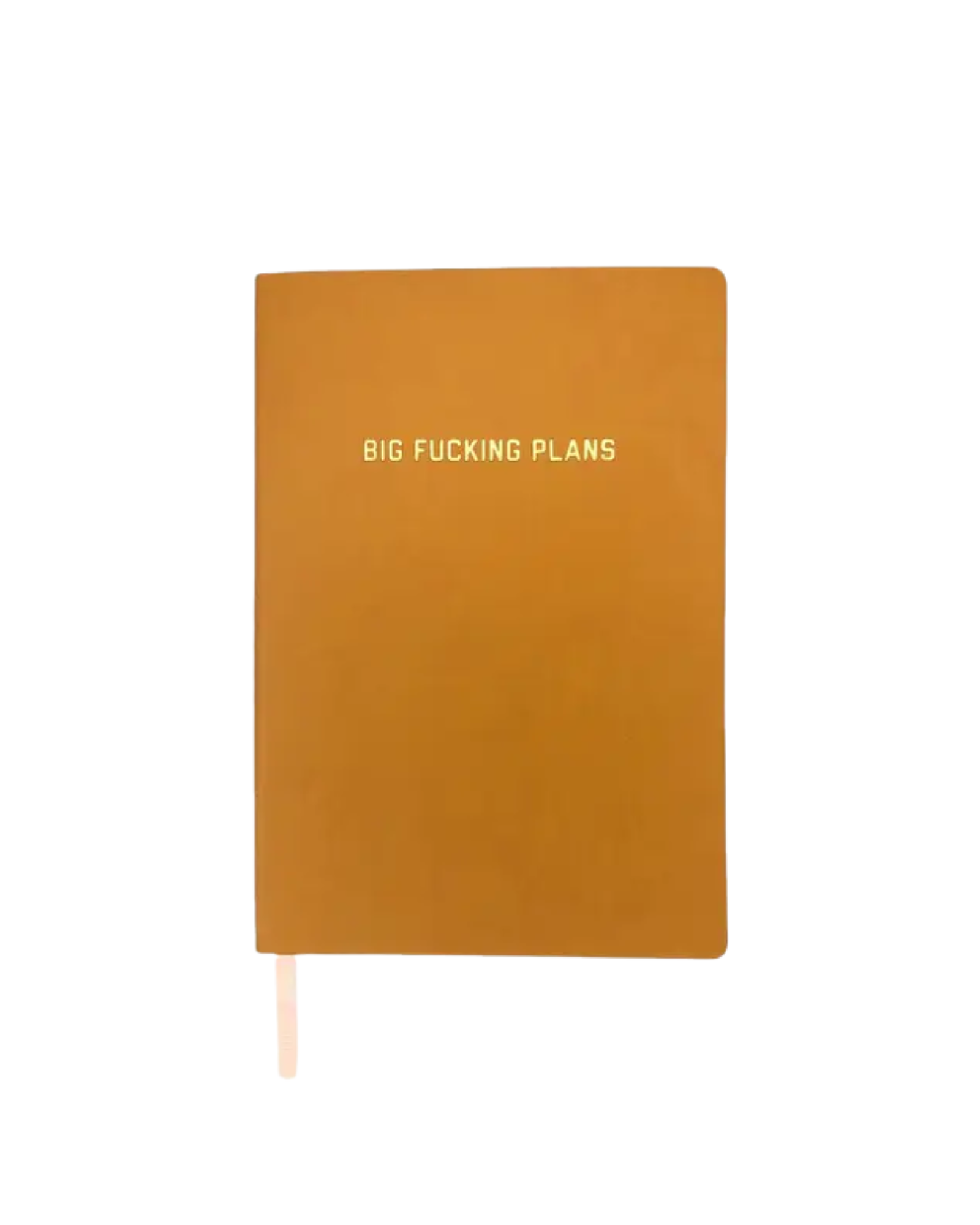 Big Fucking Plans Dotted Journal