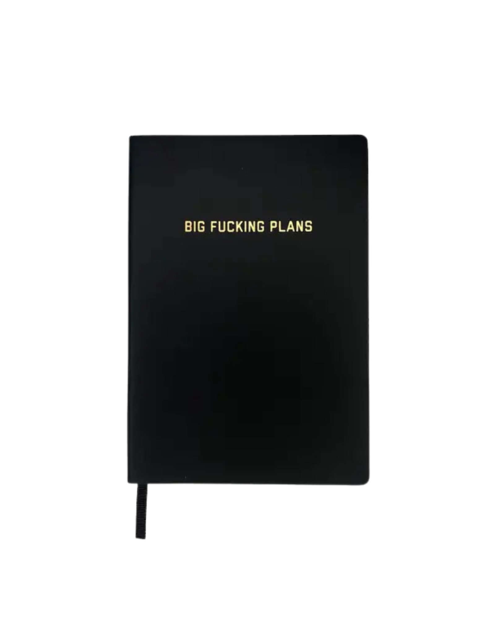 Big Fucking Plans Dotted Journal