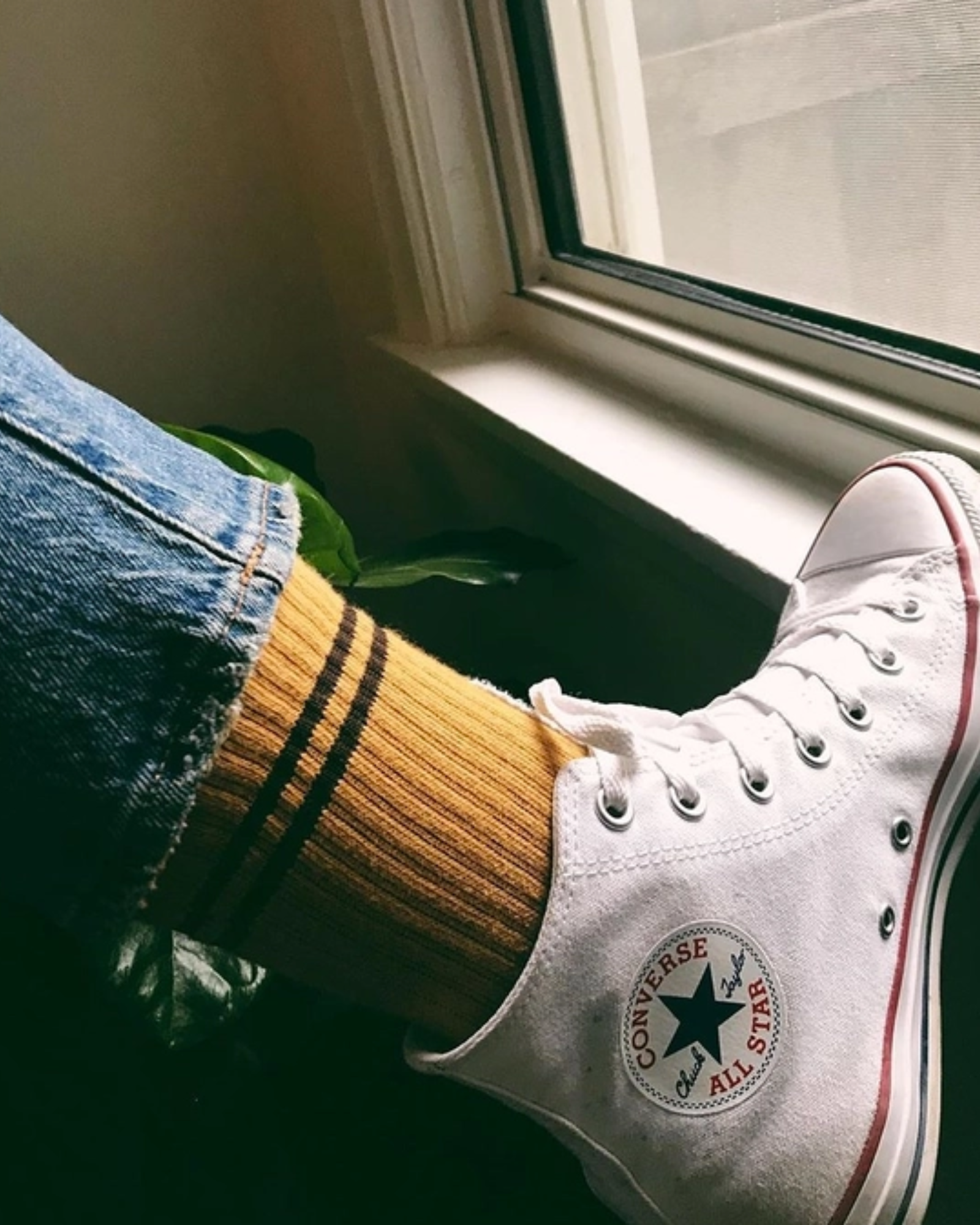 Boyfriend Socks | Biscotti