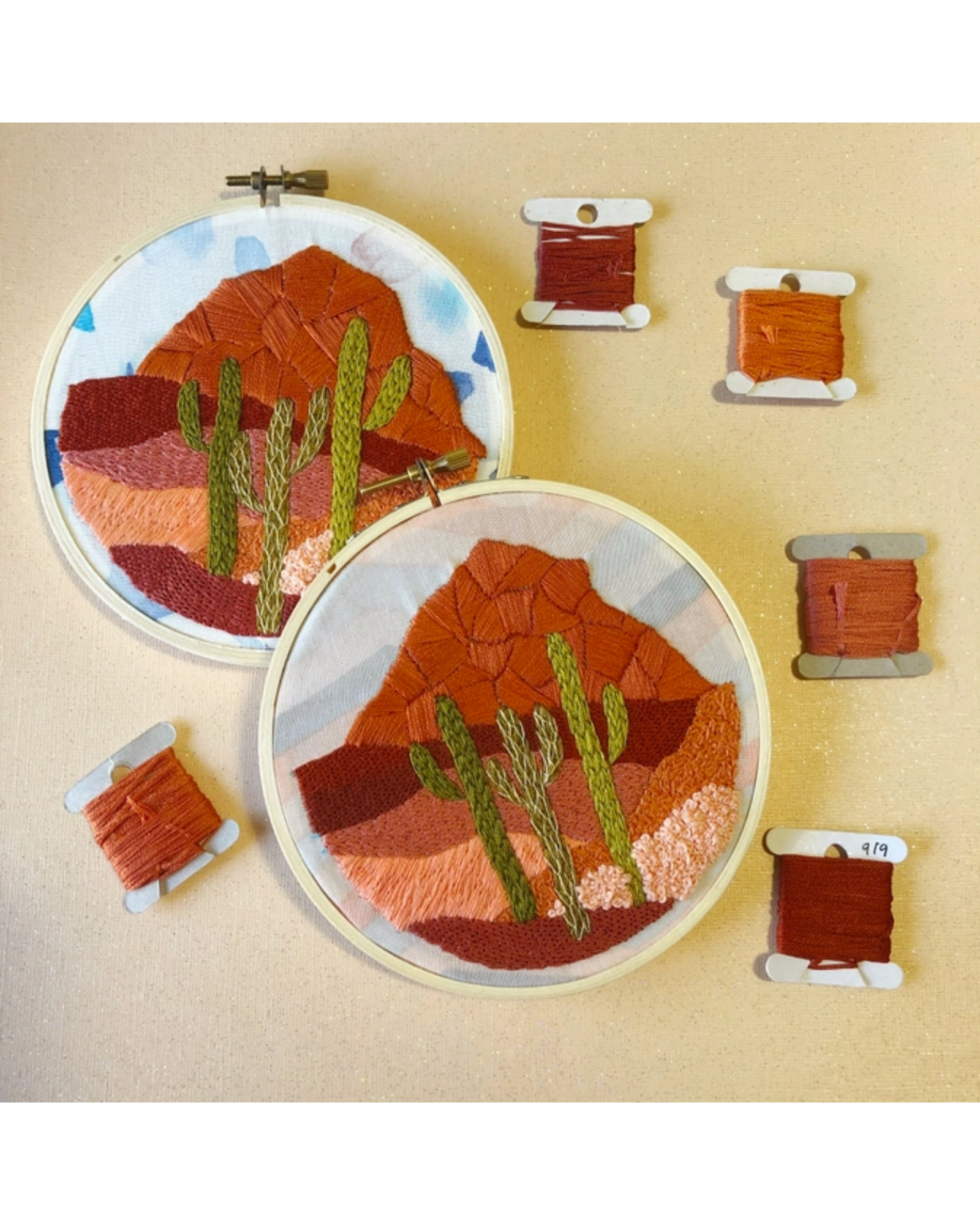 Cactus Desert Embroidery Kit