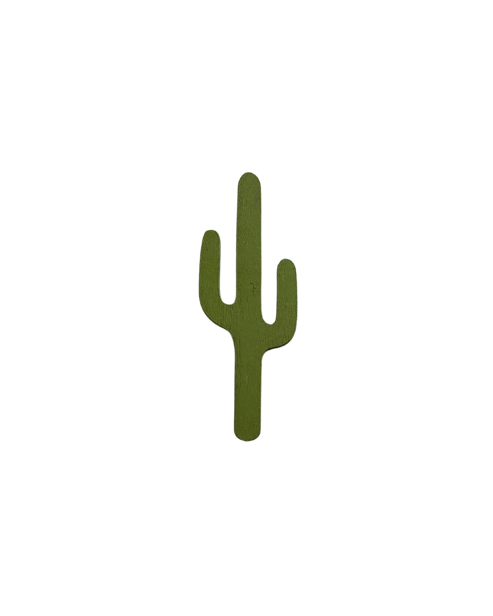 Cactus Magnet