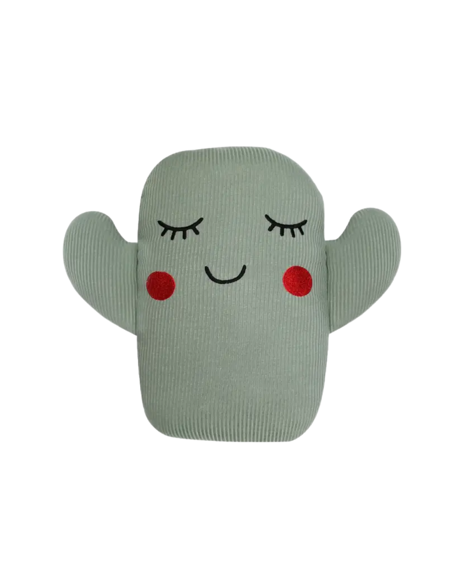 Cactus Bamboo Pillow