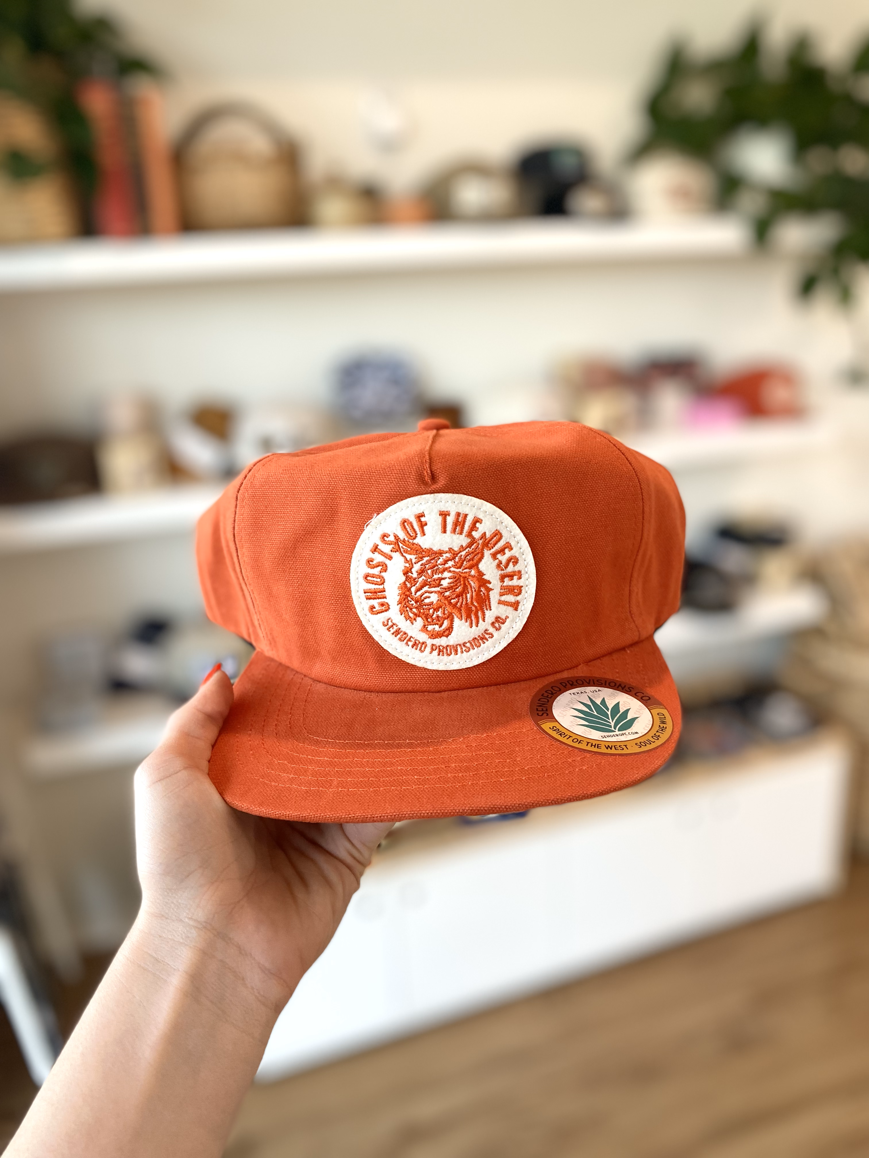 Ghosts of the Desert Hat