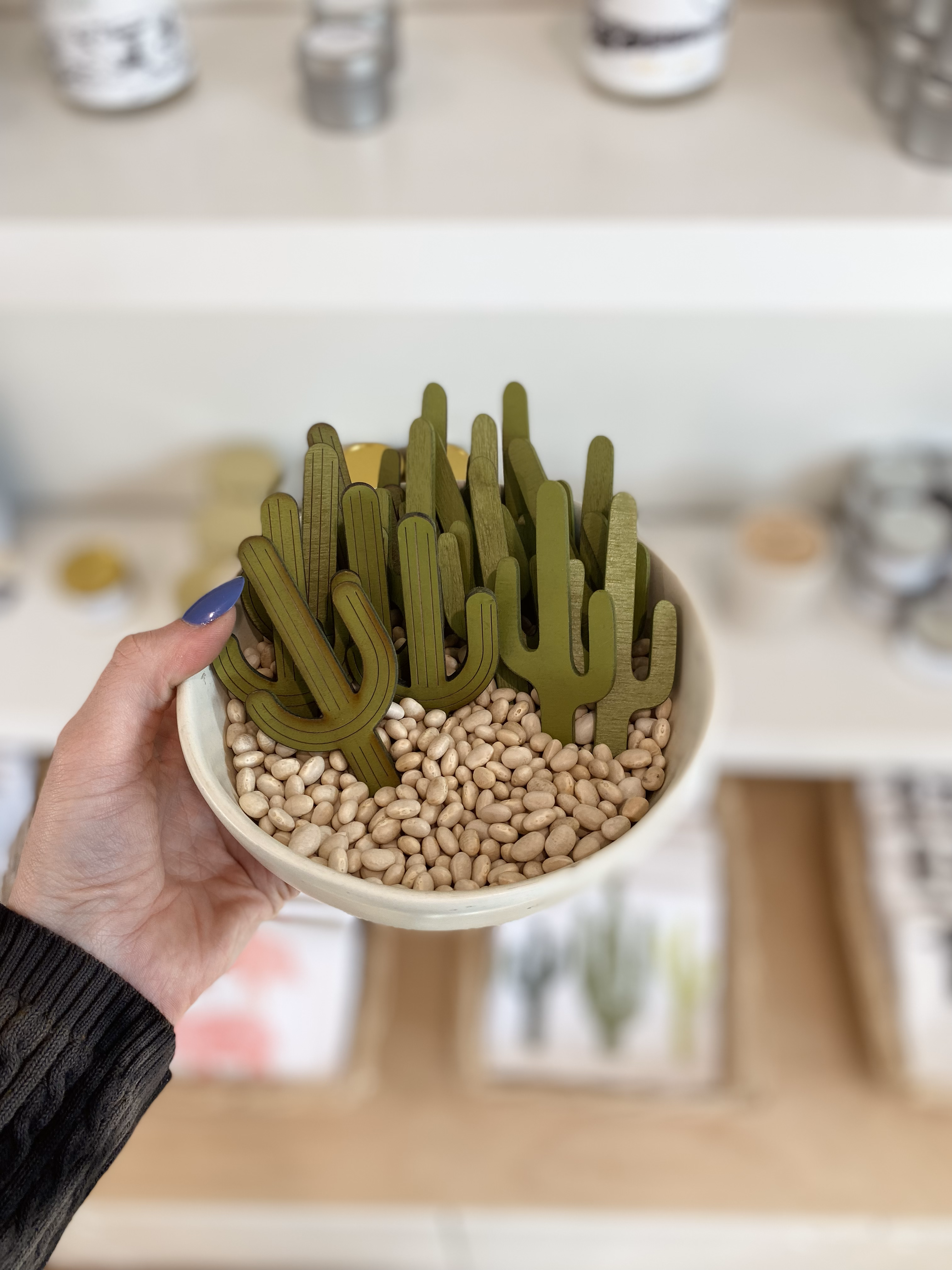 Cactus Magnet