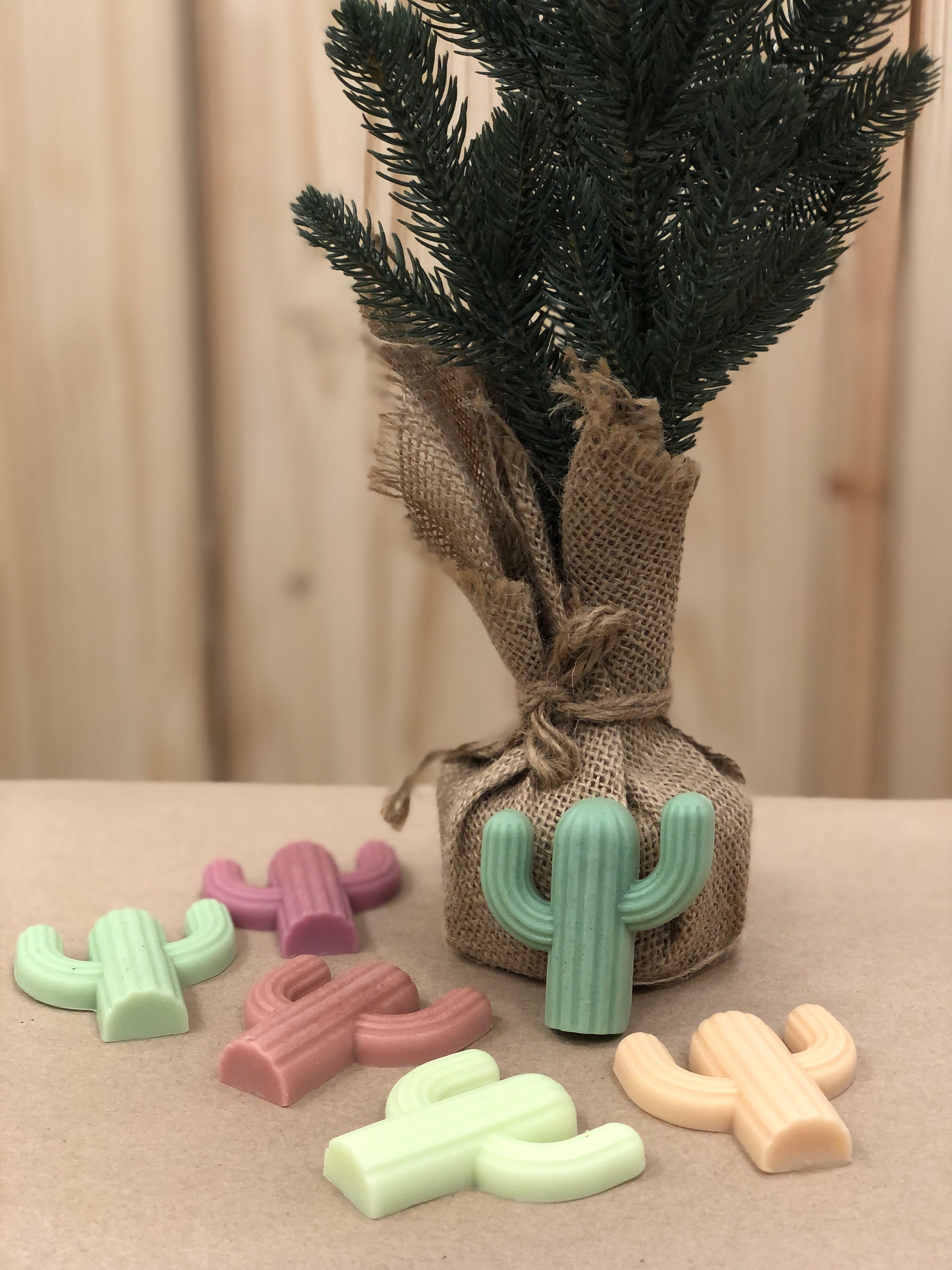 Cactus Frost Mini Saguaro Soap Trio