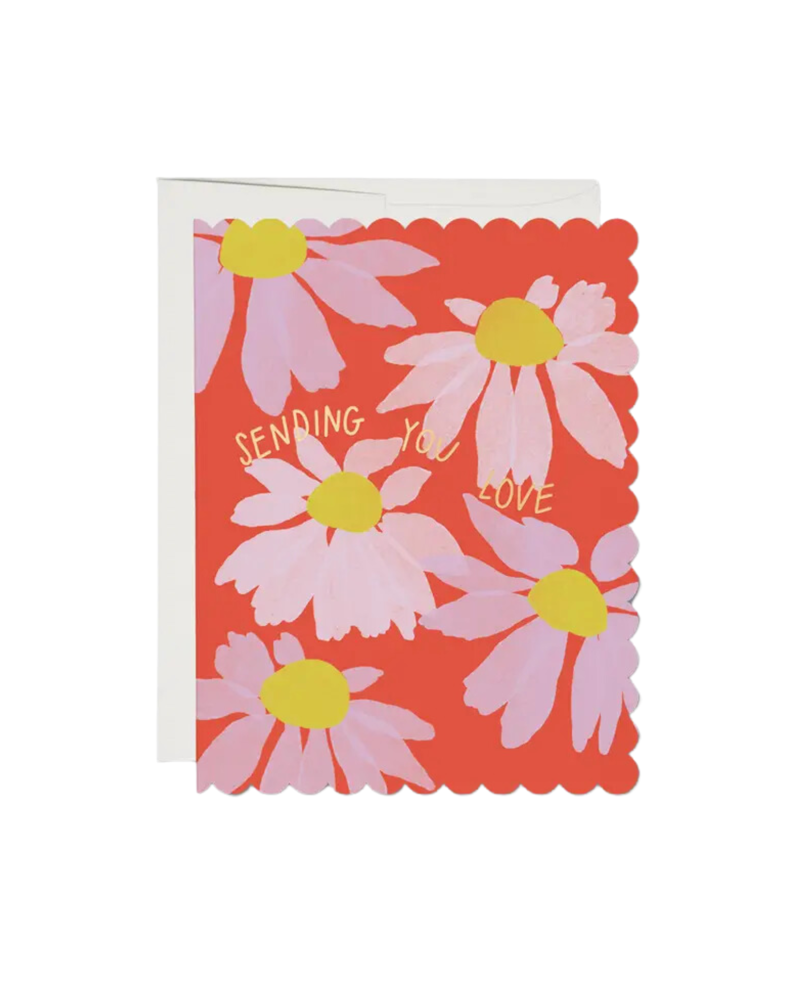 Scalloped Coneflower Sympathy Greeting Card
