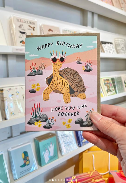 Birthday Tortoise Greeting Card
