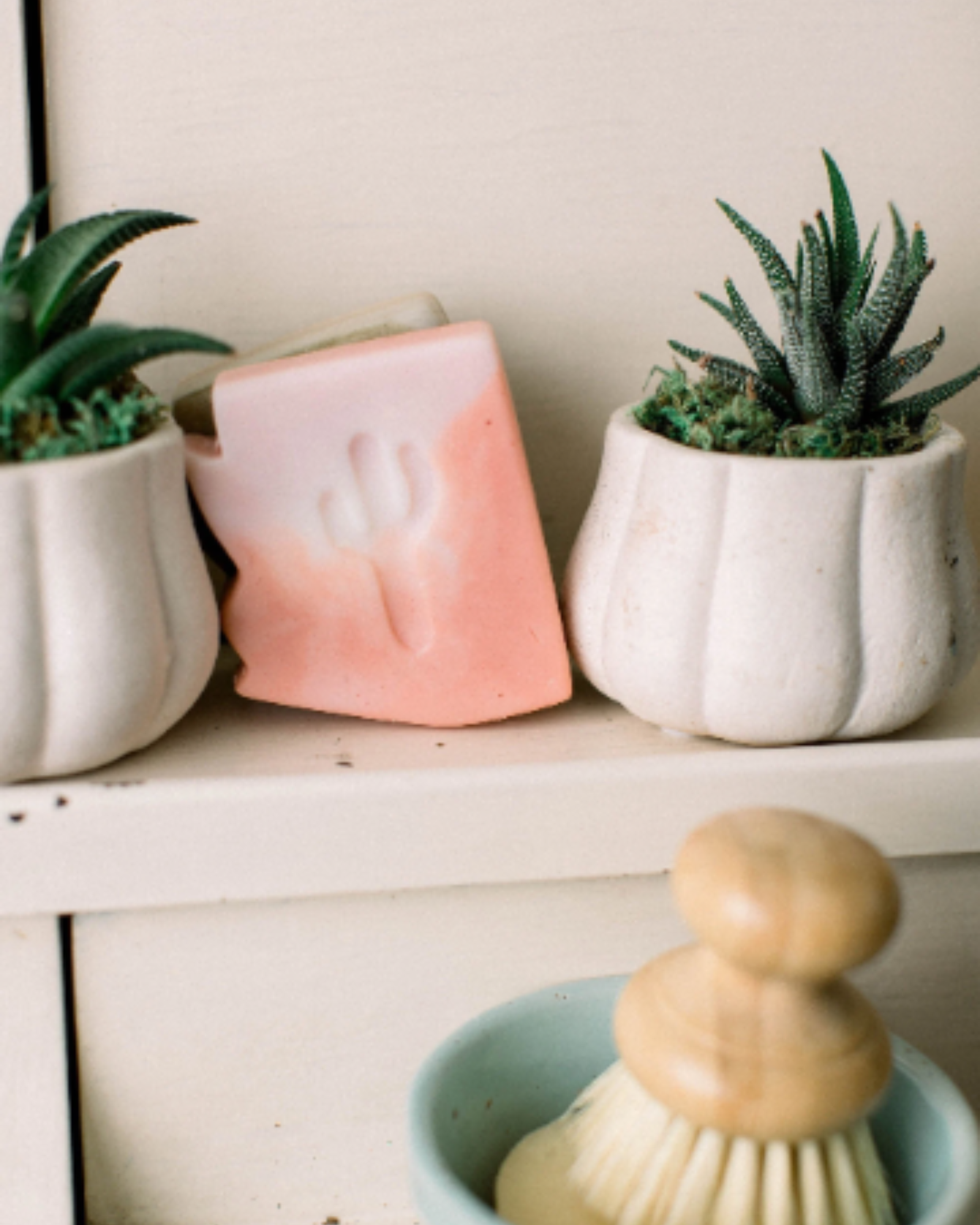 Pink and white swirled arizona shaped soap on a shelf next to green succulents in white pots