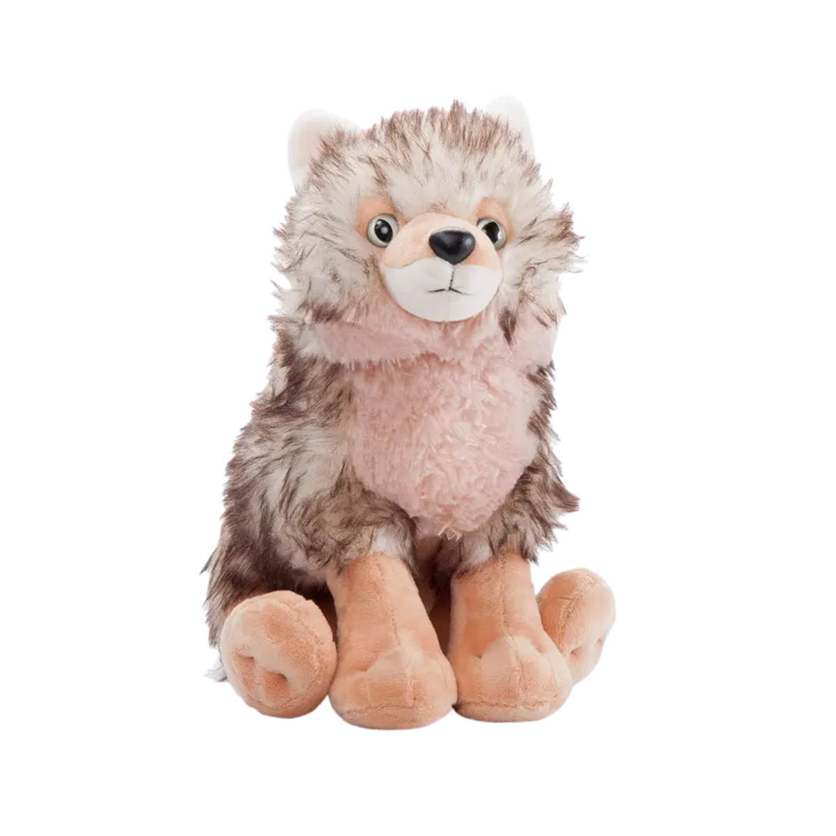 Stuffed coyote shop