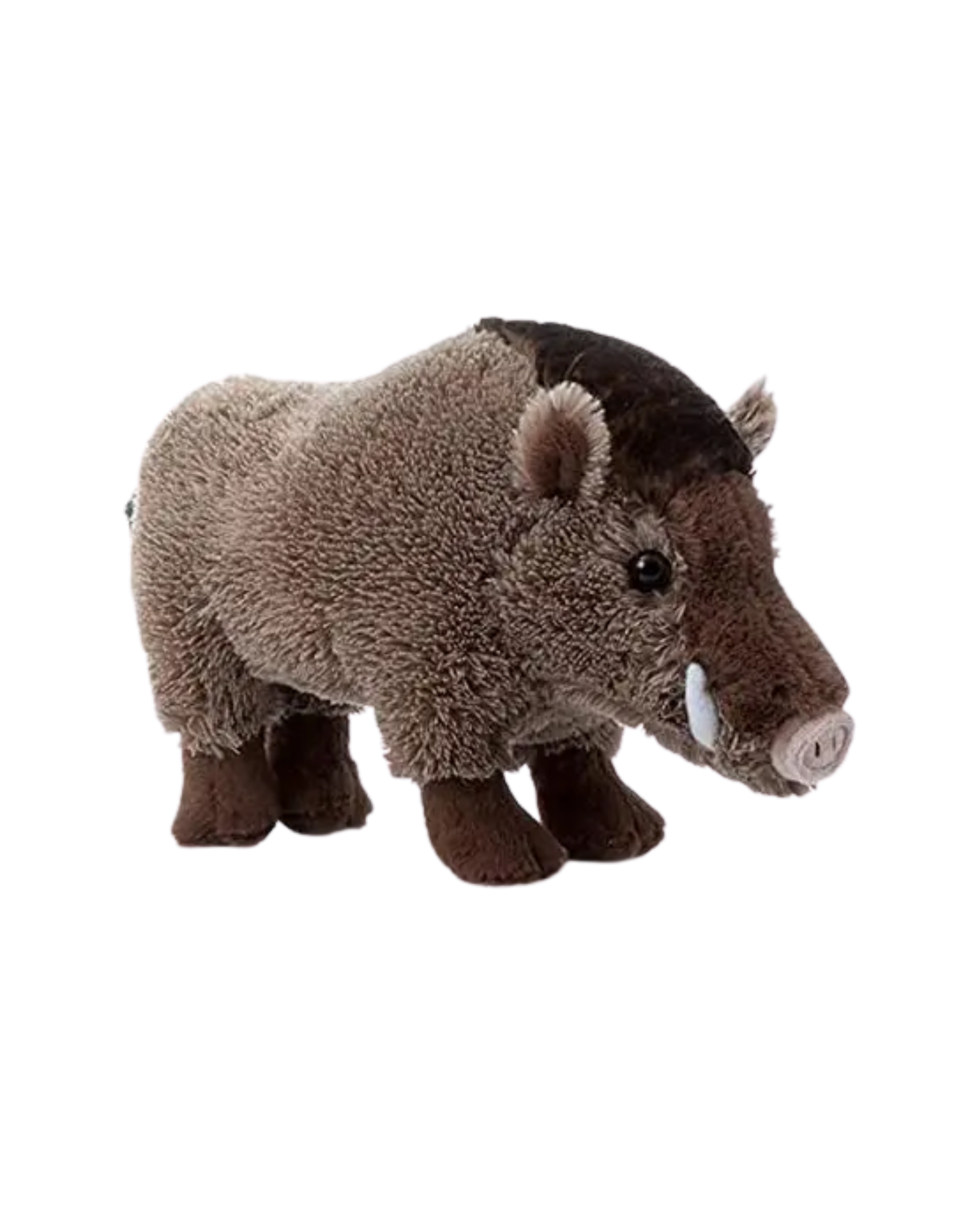 Javelina Stuffed Animal