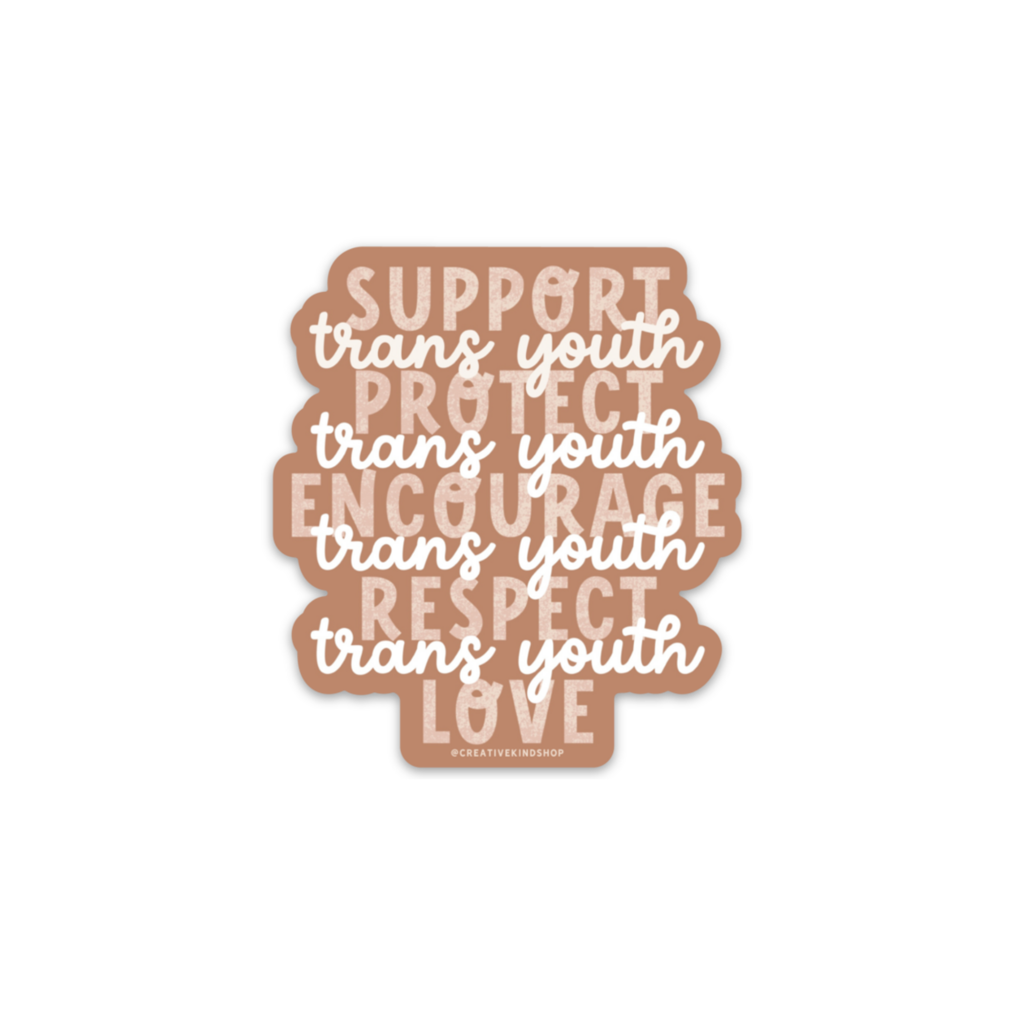 Support Trans Youth Vinyl Sticker