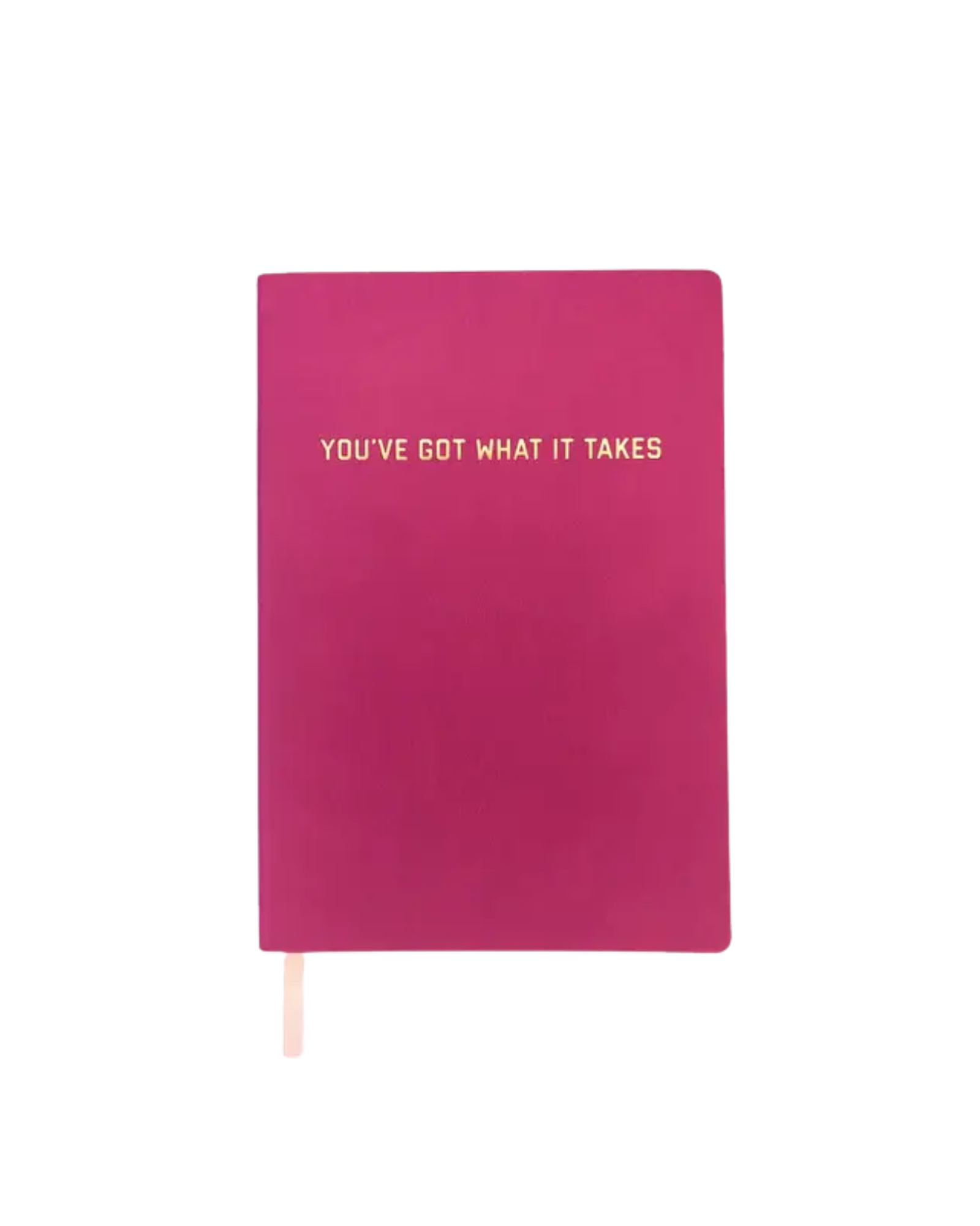 You've Got What It Takes Dotted Journal