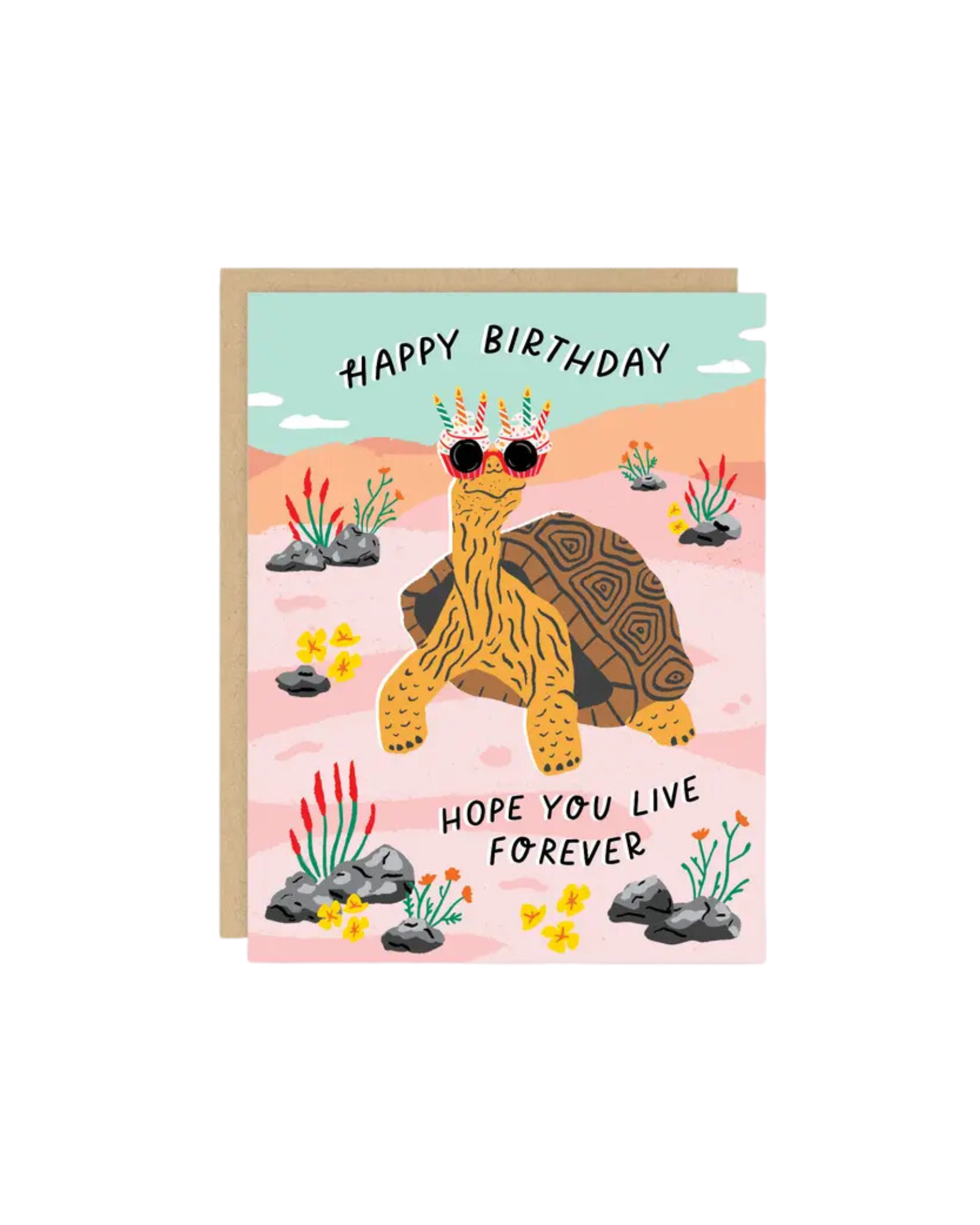 Birthday Tortoise Greeting Card