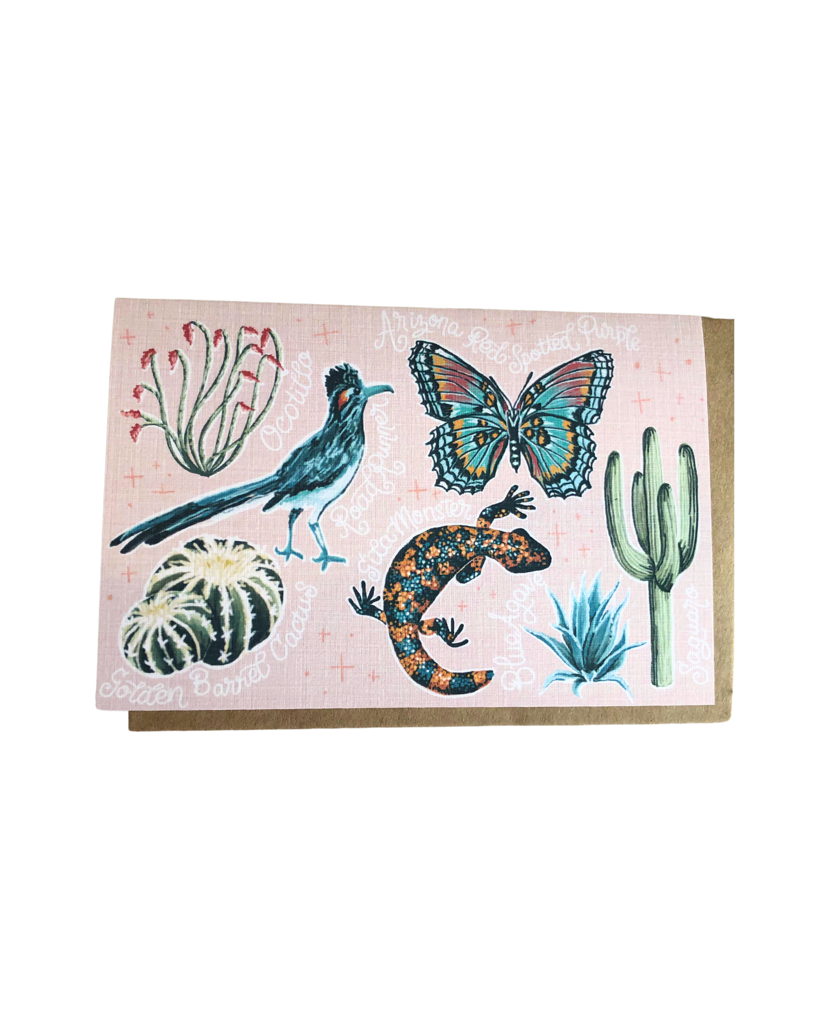 Pink Desert Species Greeting Card