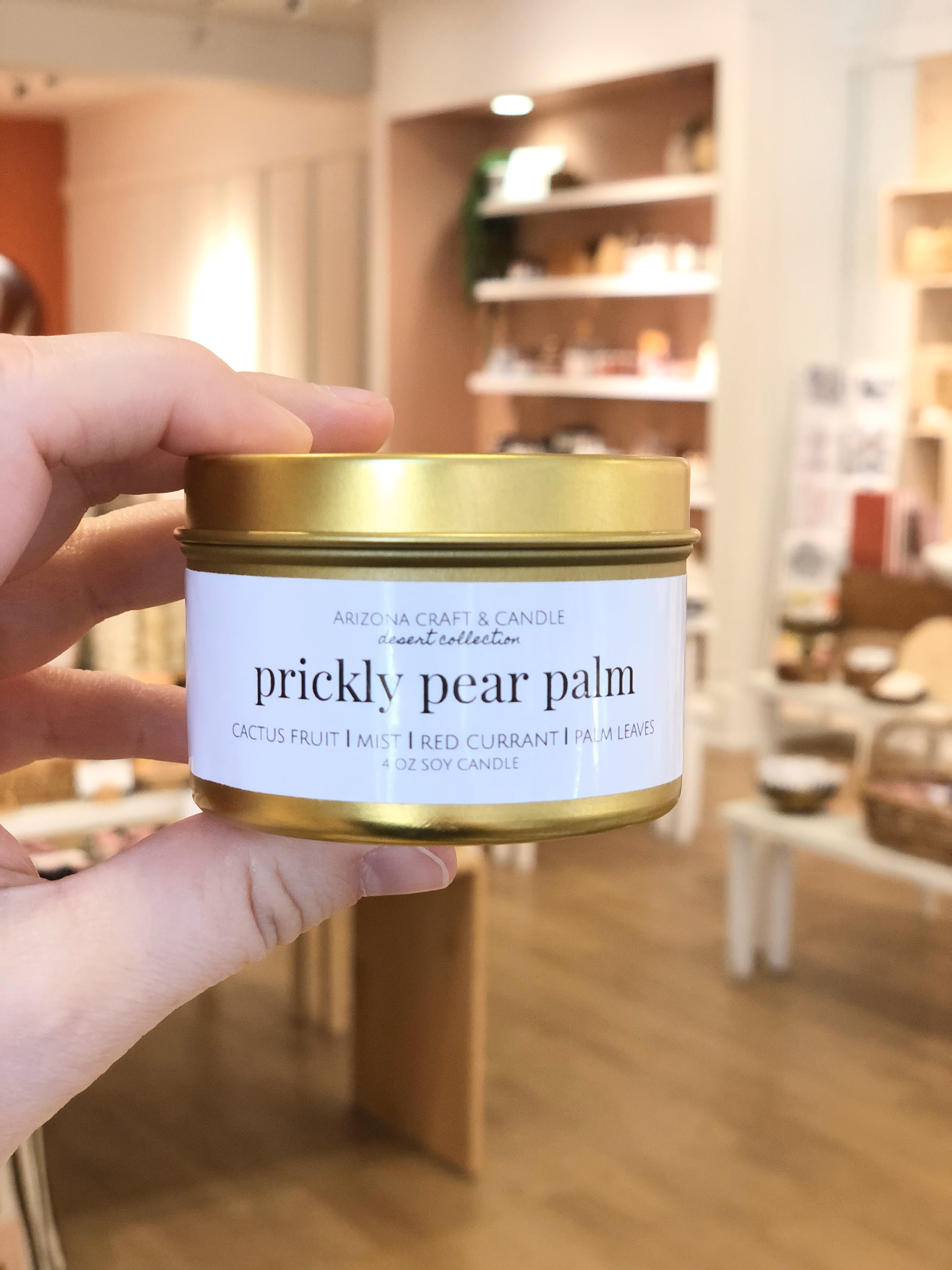 Person holding a prickly pear palm travel candle in Creative Kind